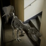 09_chair_hallway_dino